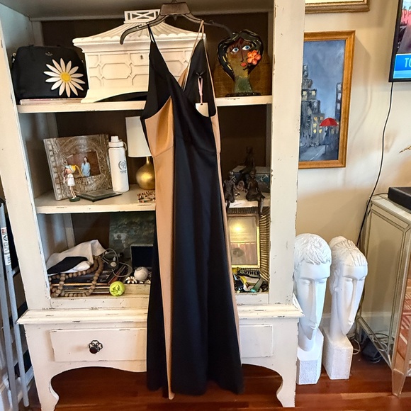 Alex Marie Dresses & Skirts - Alex Marie sz 12 Savannah colorblock dress black brown